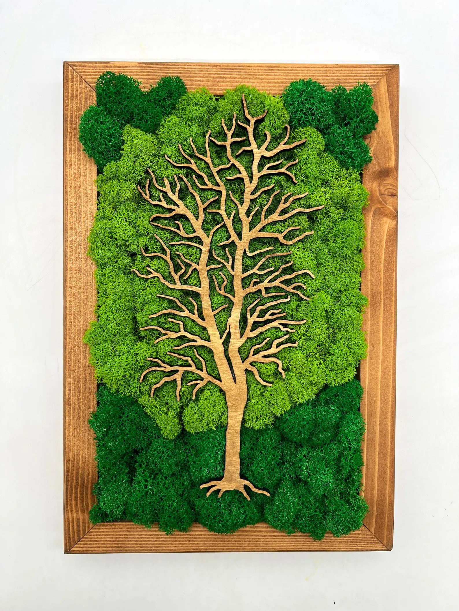 Walnut Frame Moss Wall Art – Tree Design Green Decoration