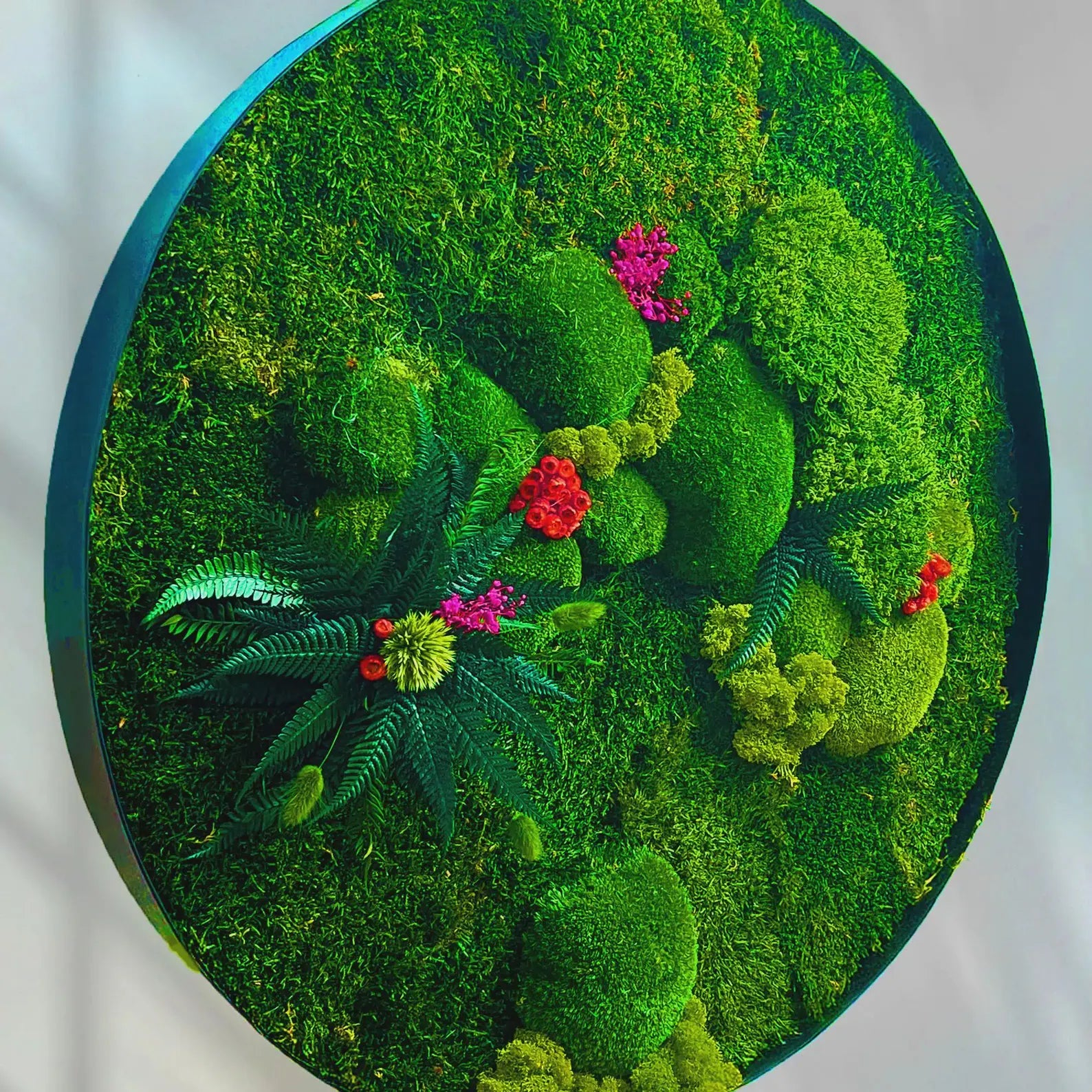 Round Preserved Moss Wall Art – Indoor Vertical Garden with Natural Cork Bark | Botanical Decor for Home & Office