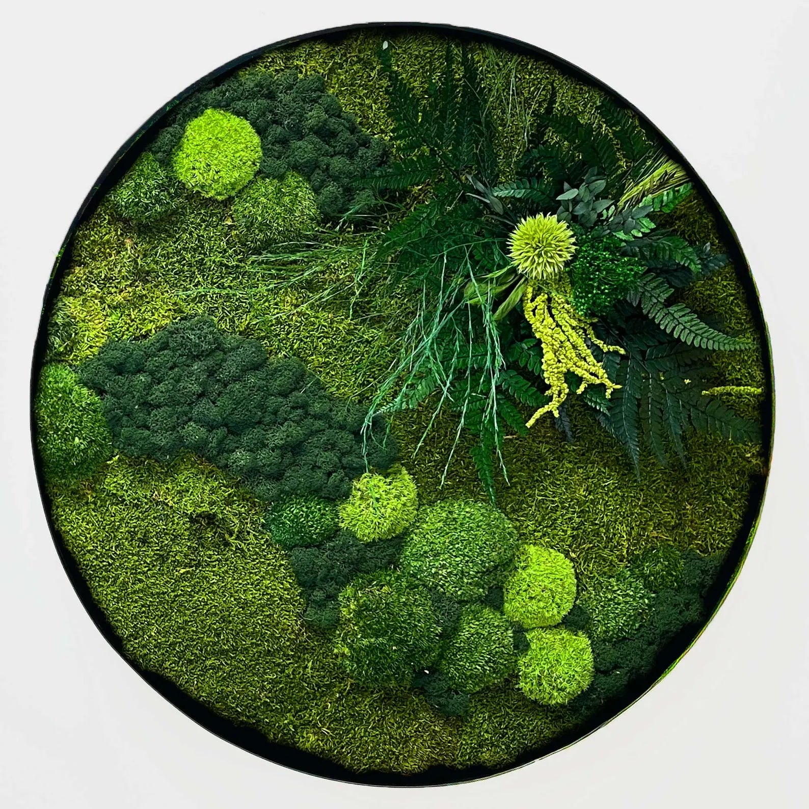 Round Preserved Moss Wall Art – Indoor Vertical Garden with Natural Cork Bark | Botanical Decor for Home & Office