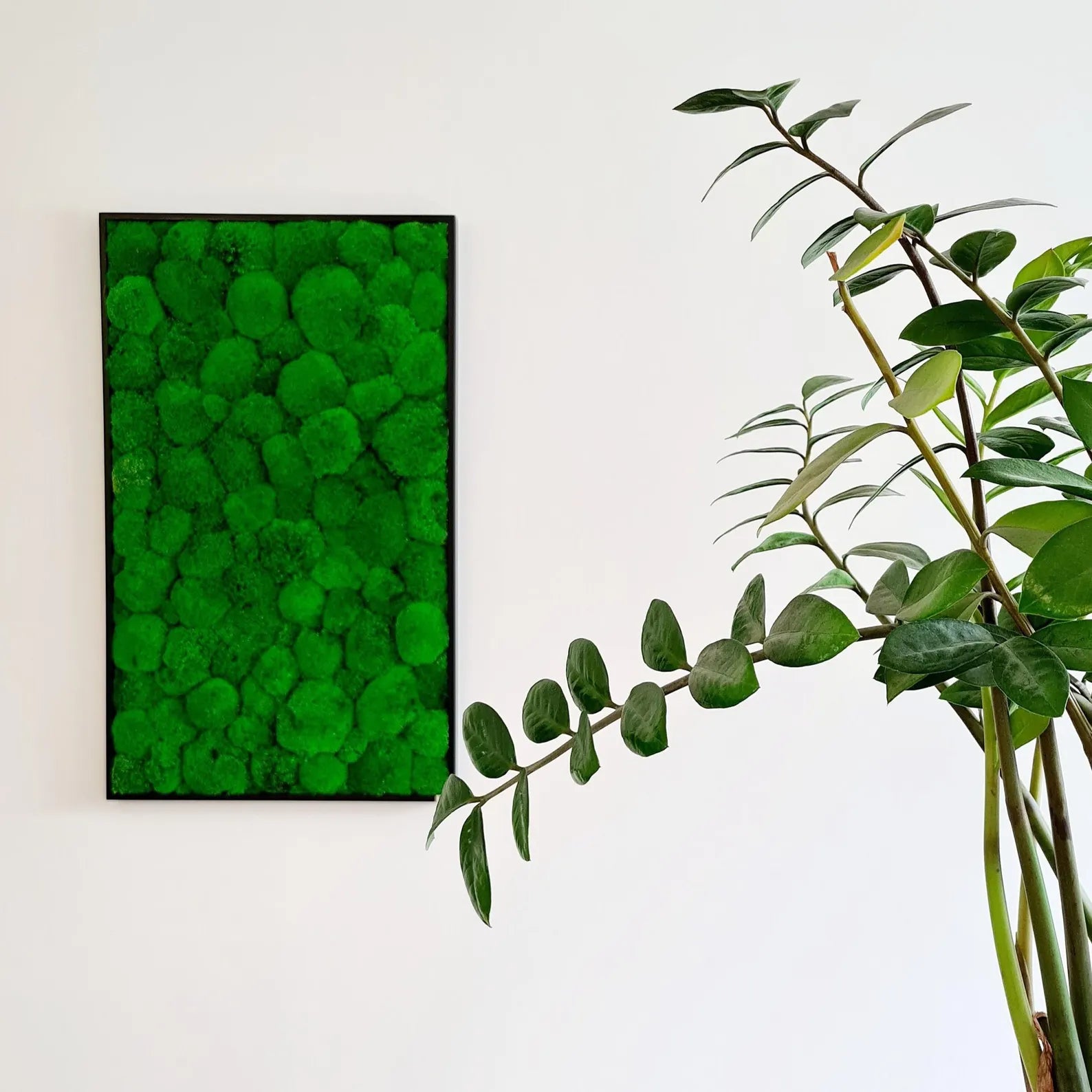 Bun Moss Wall Art – Premium Moss Picture with Logo for Living Room, Office & Large Spaces