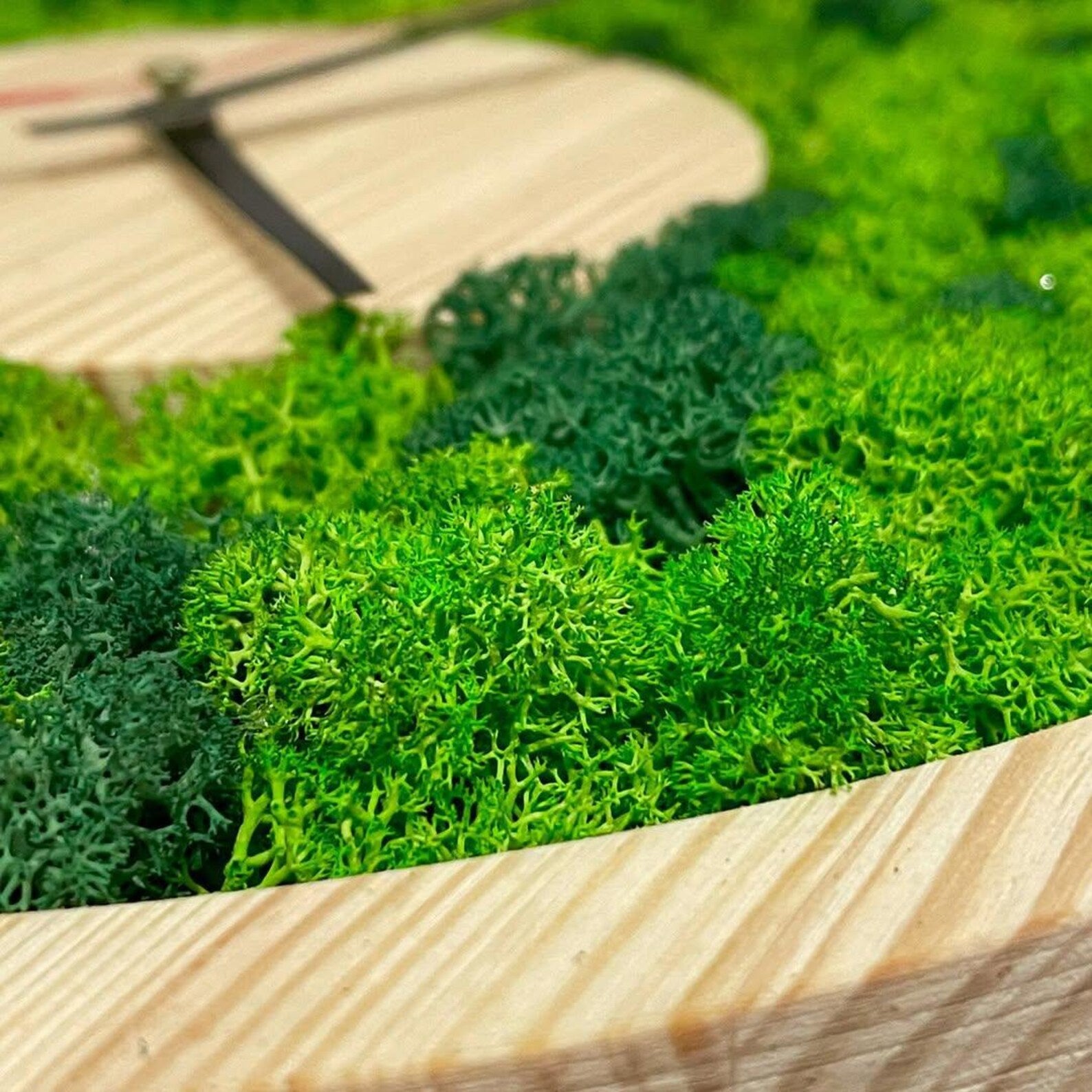 Real Moss Wall Clock – Silent Wooden Design, Unique Eco-Friendly Home Decoration