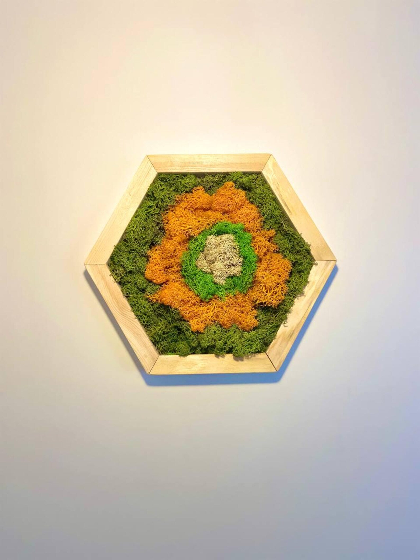 Natural Moss Wall Art Set – Framed Wooden Hexagon Handmade Decor