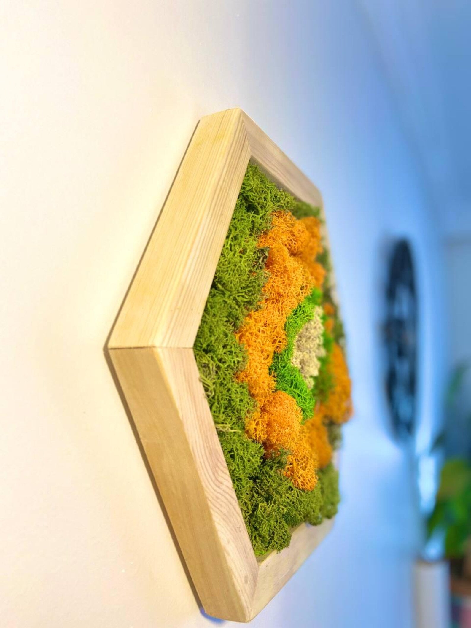 Natural Moss Wall Art Set – Framed Wooden Hexagon Handmade Decor