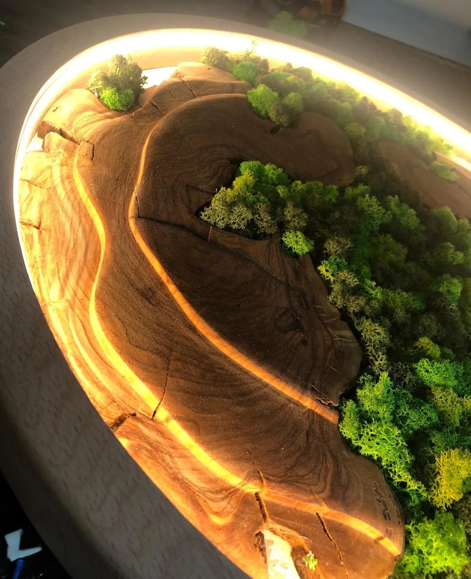 Handmade Moss Wall Decor: Wooden Wall Art for a Natural Living Room