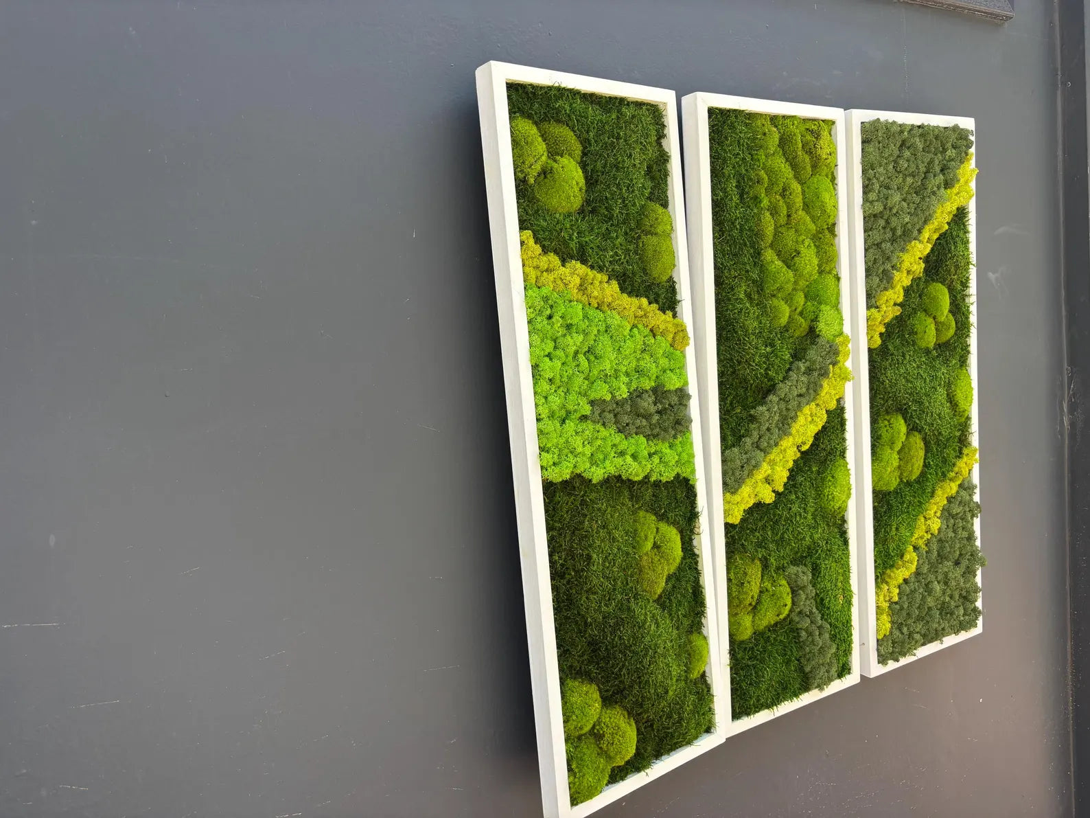 Natural Preserved Moss Wall Art – Green Office & Workplace Decor