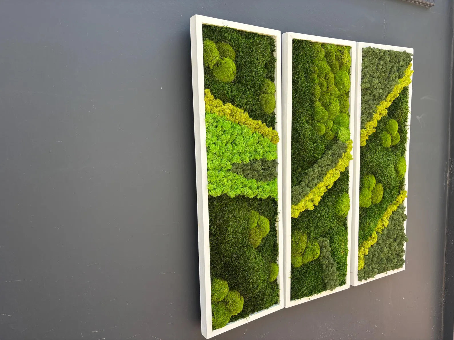 Natural Preserved Moss Wall Art – Green Office & Workplace Decor