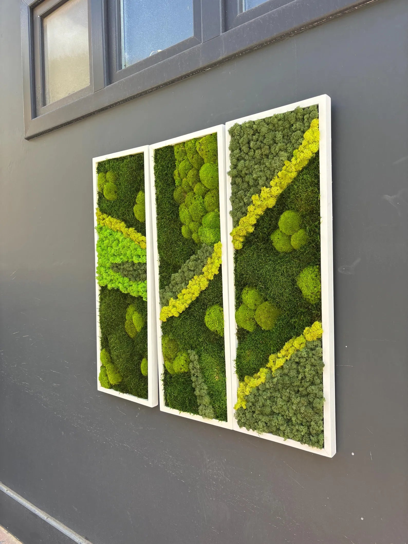 Natural Preserved Moss Wall Art – Green Office & Workplace Decor