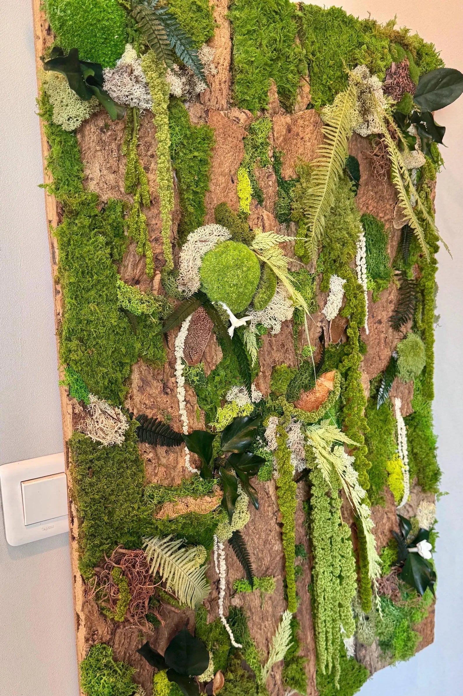 Handmade Stabilized Plant Frame on Cork Bark – Unique Rainforest Wall Art
