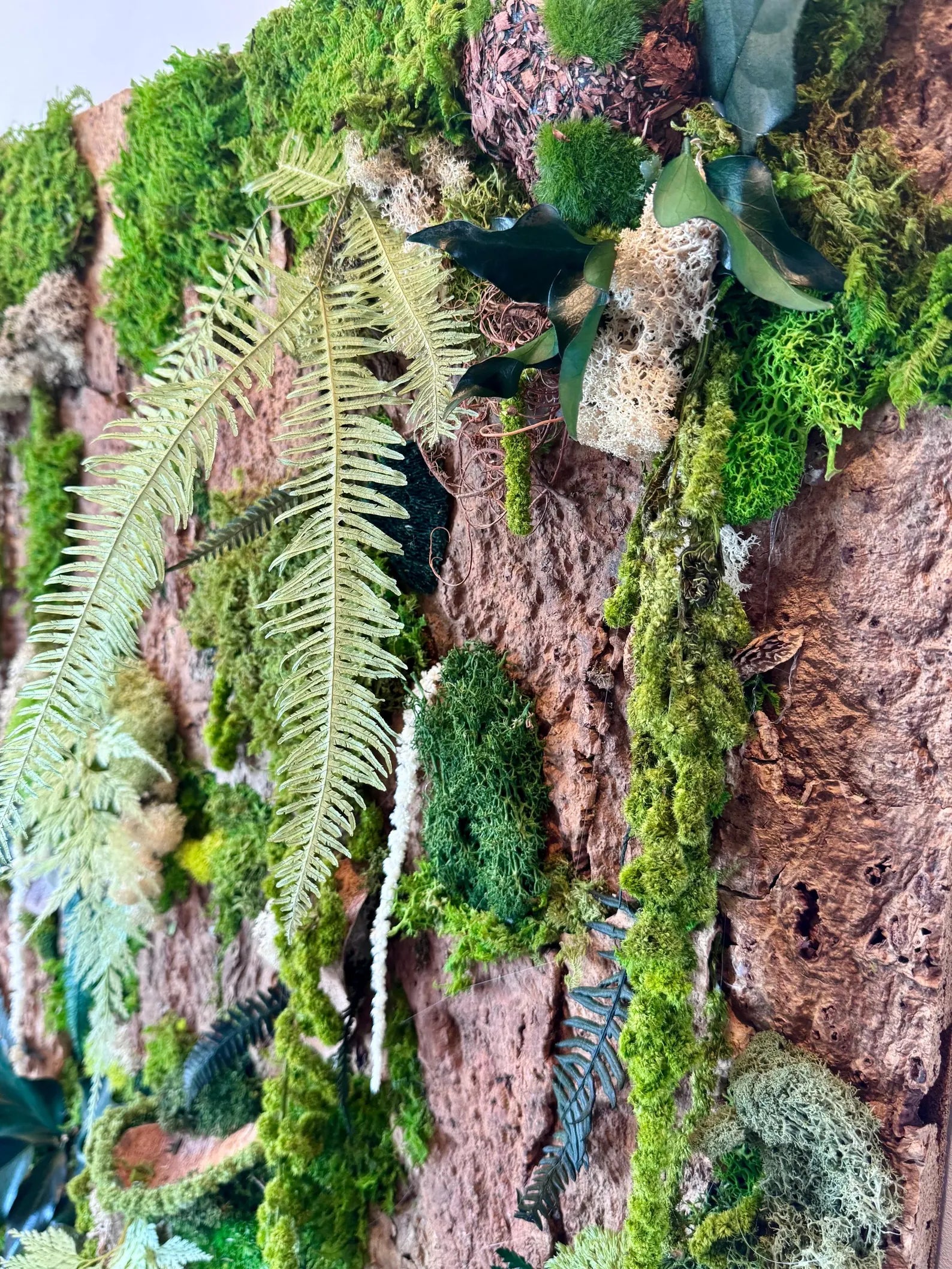 Handmade Stabilized Plant Frame on Cork Bark – Unique Rainforest Wall Art