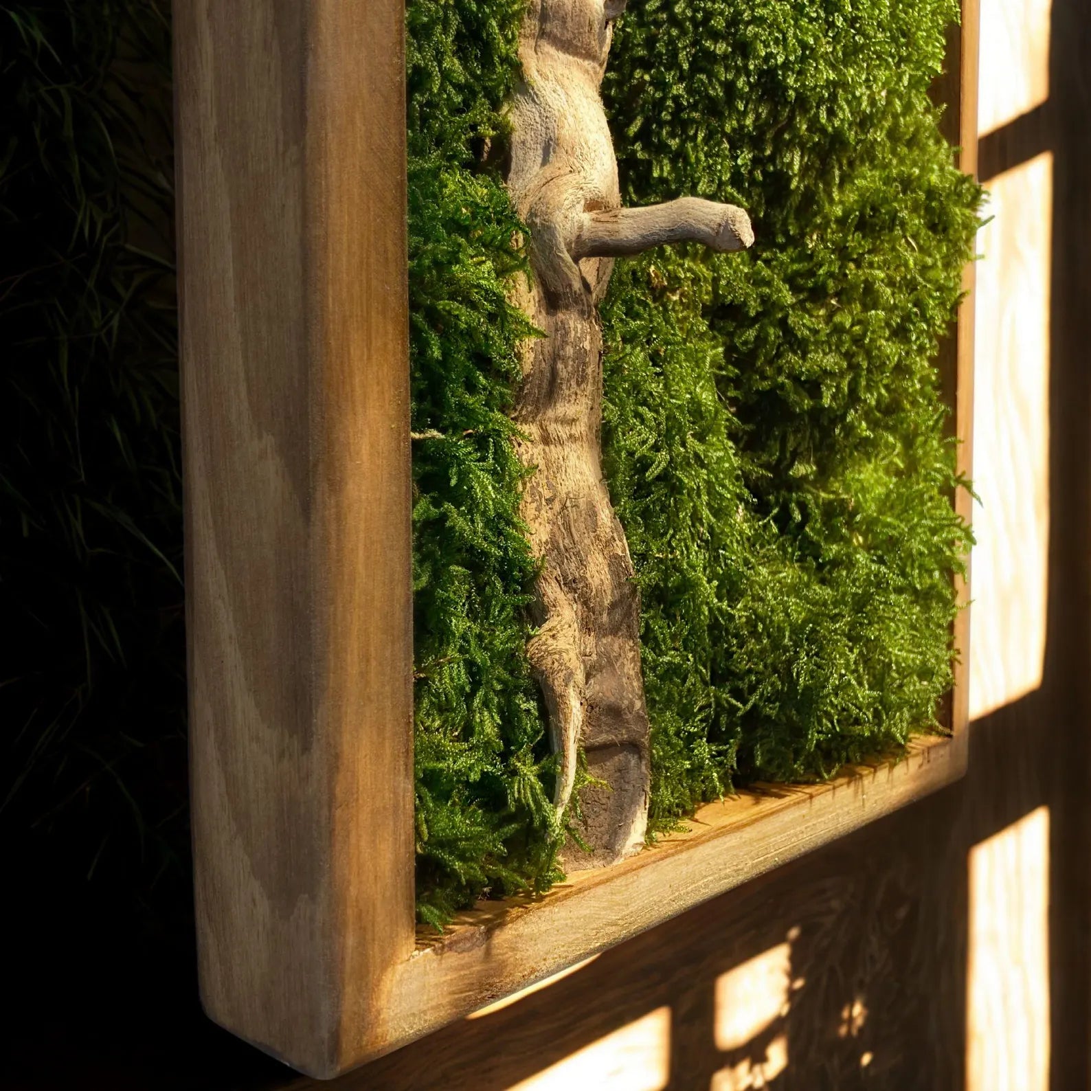 Preserved Moss Bonsai Wall Art – Driftwood Tree Sculpture | Japanese Zen Nature Decor Frame