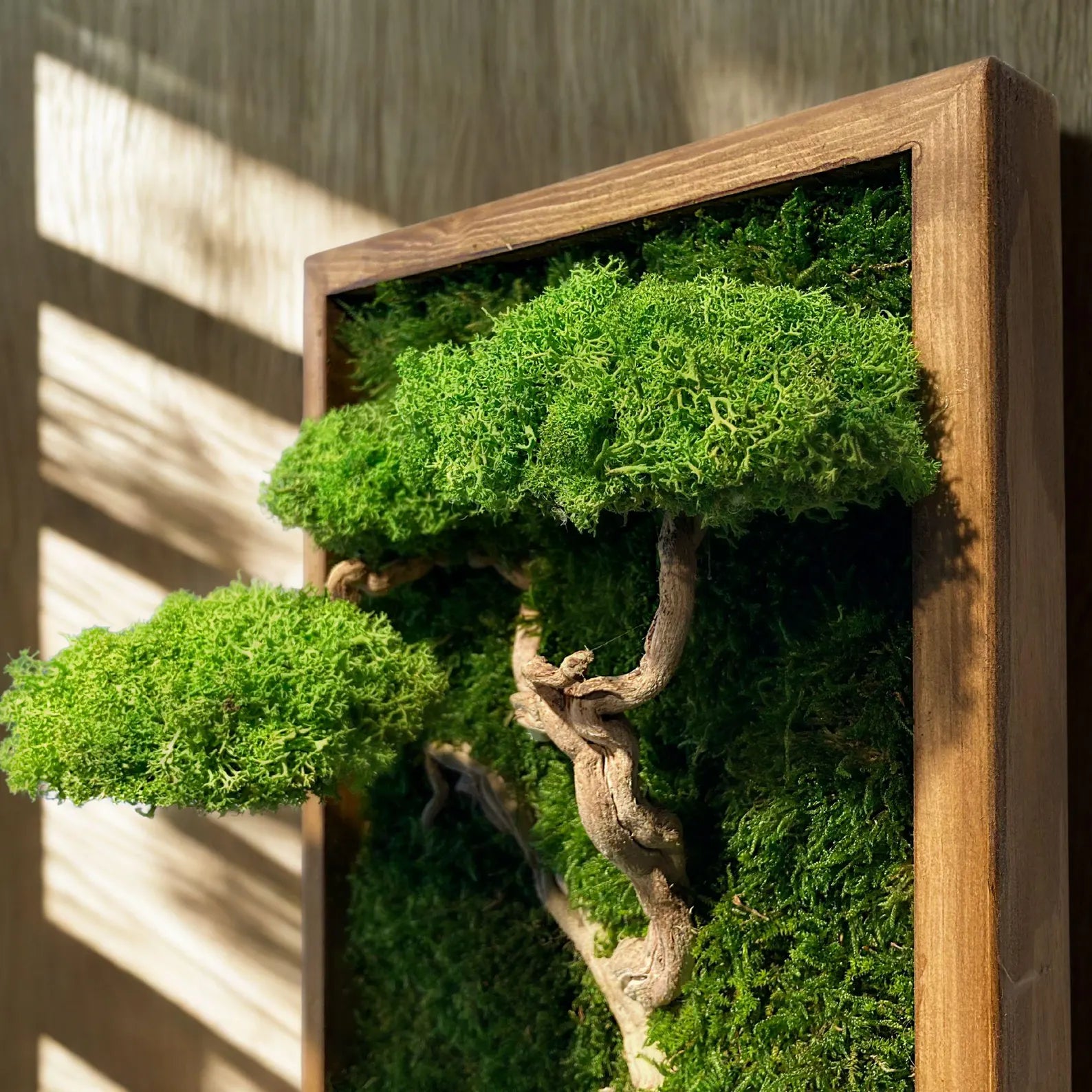 Preserved Moss Bonsai Wall Art – Driftwood Tree Sculpture | Japanese Zen Nature Decor Frame