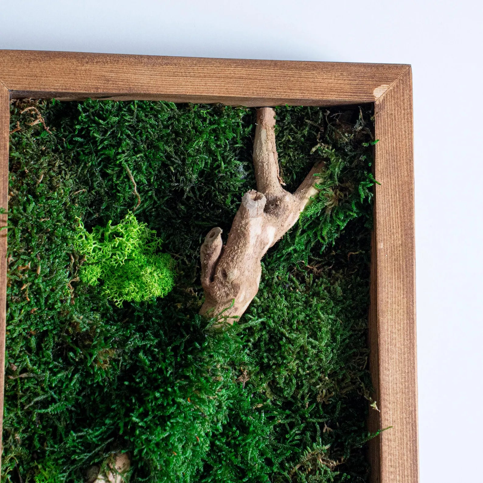 Rustic Moss and Bonsai Wood Wall Art – Vertical Wooden Frame Decor for Modern Living Rooms
