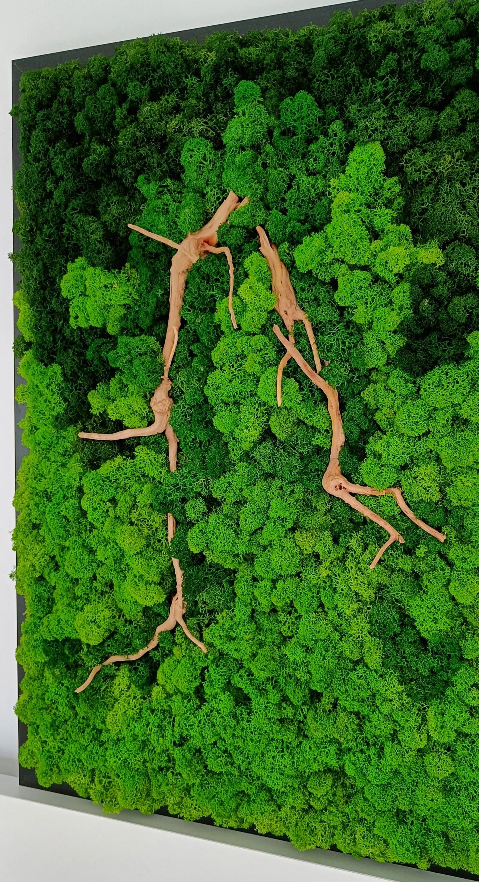 Moss and Root Wall Art – Natural Preserved Green Decor | Handmade Wall Hanging for Home & Office