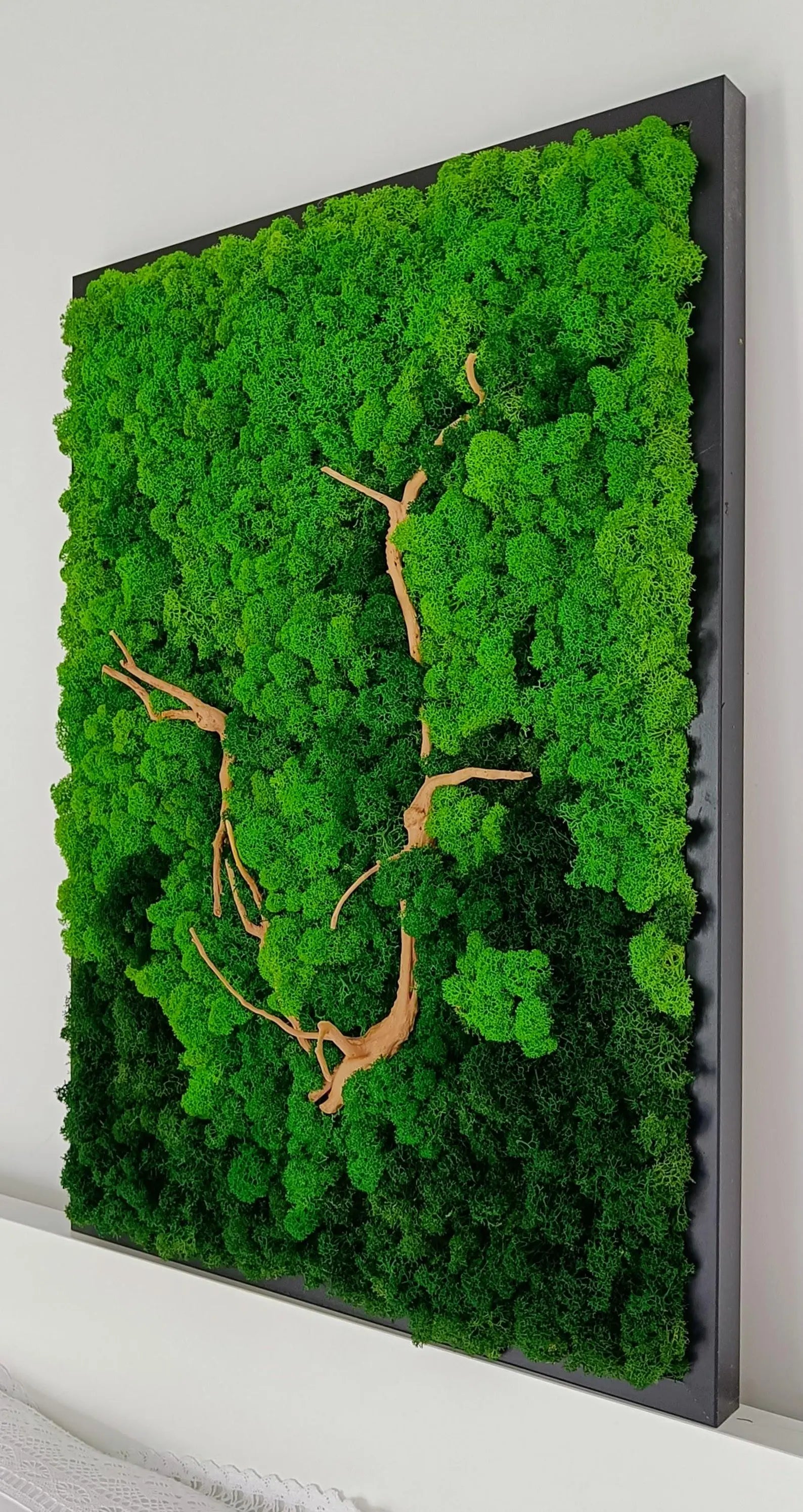 Moss and Root Wall Art – Natural Preserved Green Decor | Handmade Wall Hanging for Home & Office