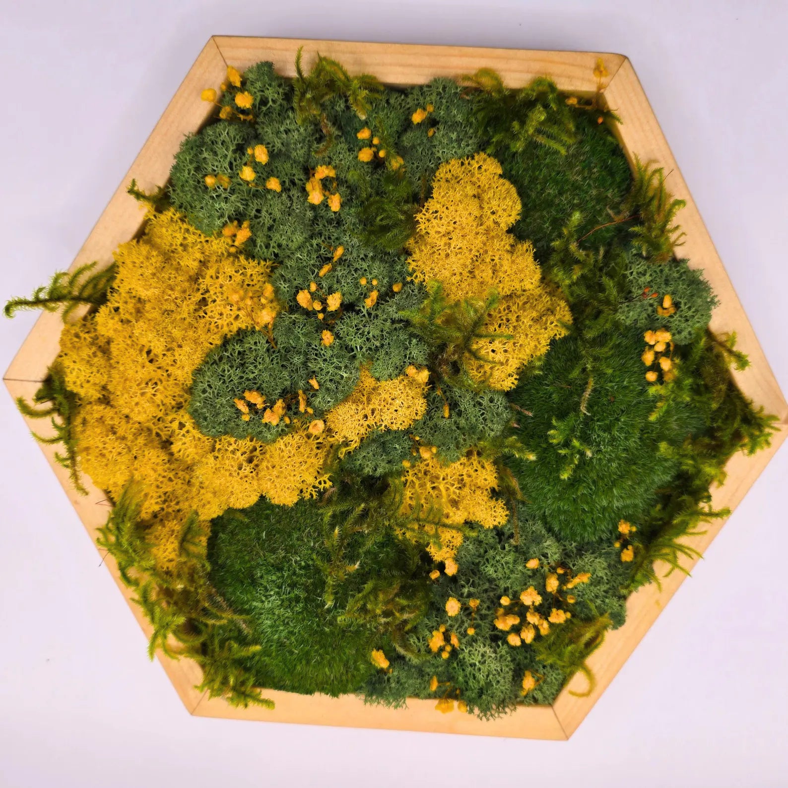 Wooden Hexagon Moss Wall Art with Dried Flowers – Preserved Botanical Geometric Wall Decor