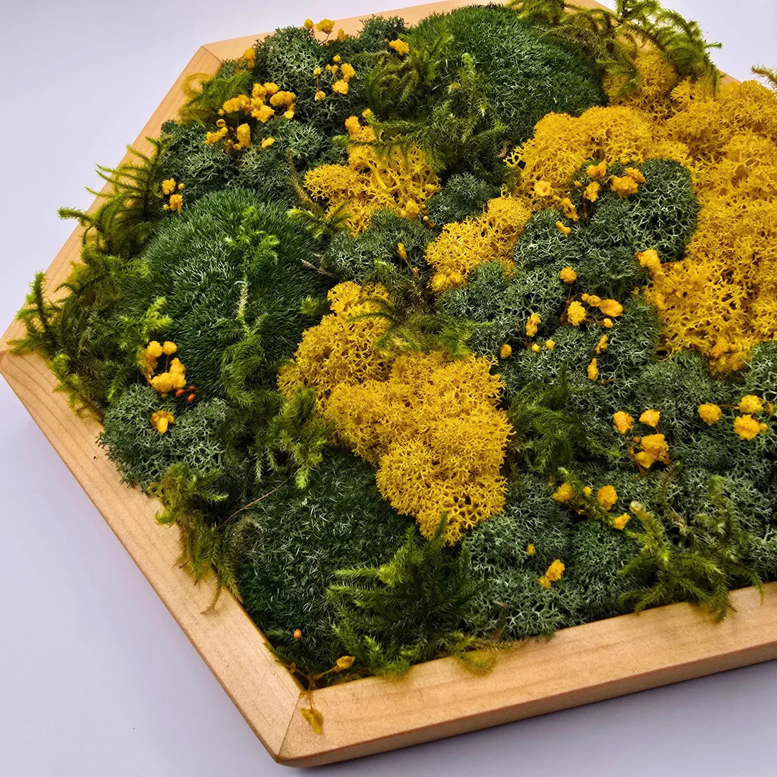 Wooden Hexagon Moss Wall Art with Dried Flowers – Preserved Botanical Geometric Wall Decor