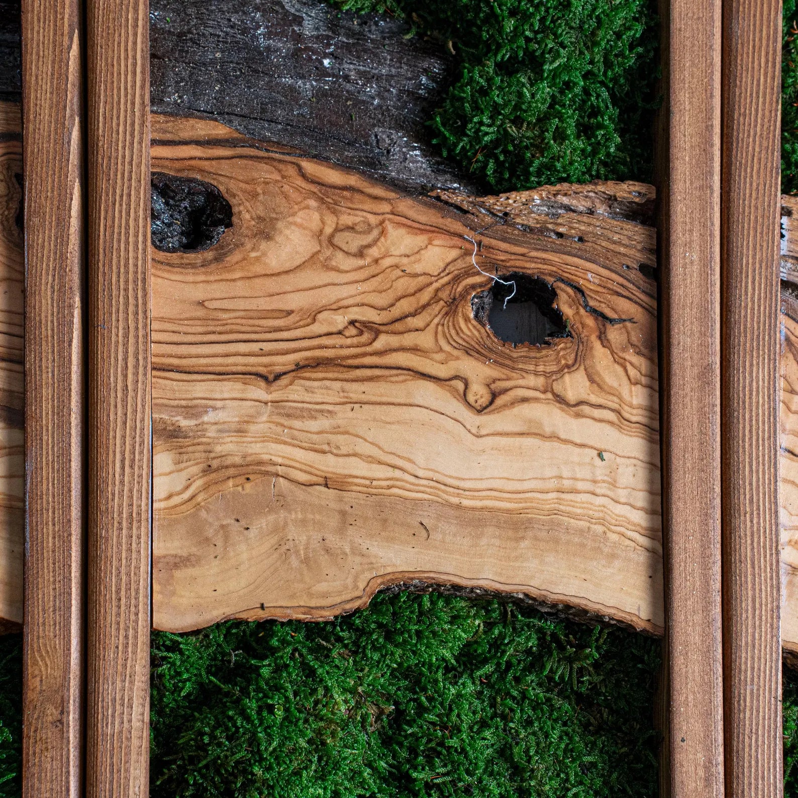 Preserved Moss Wall Triptych: Vertical Nature Decor with Olive Wood