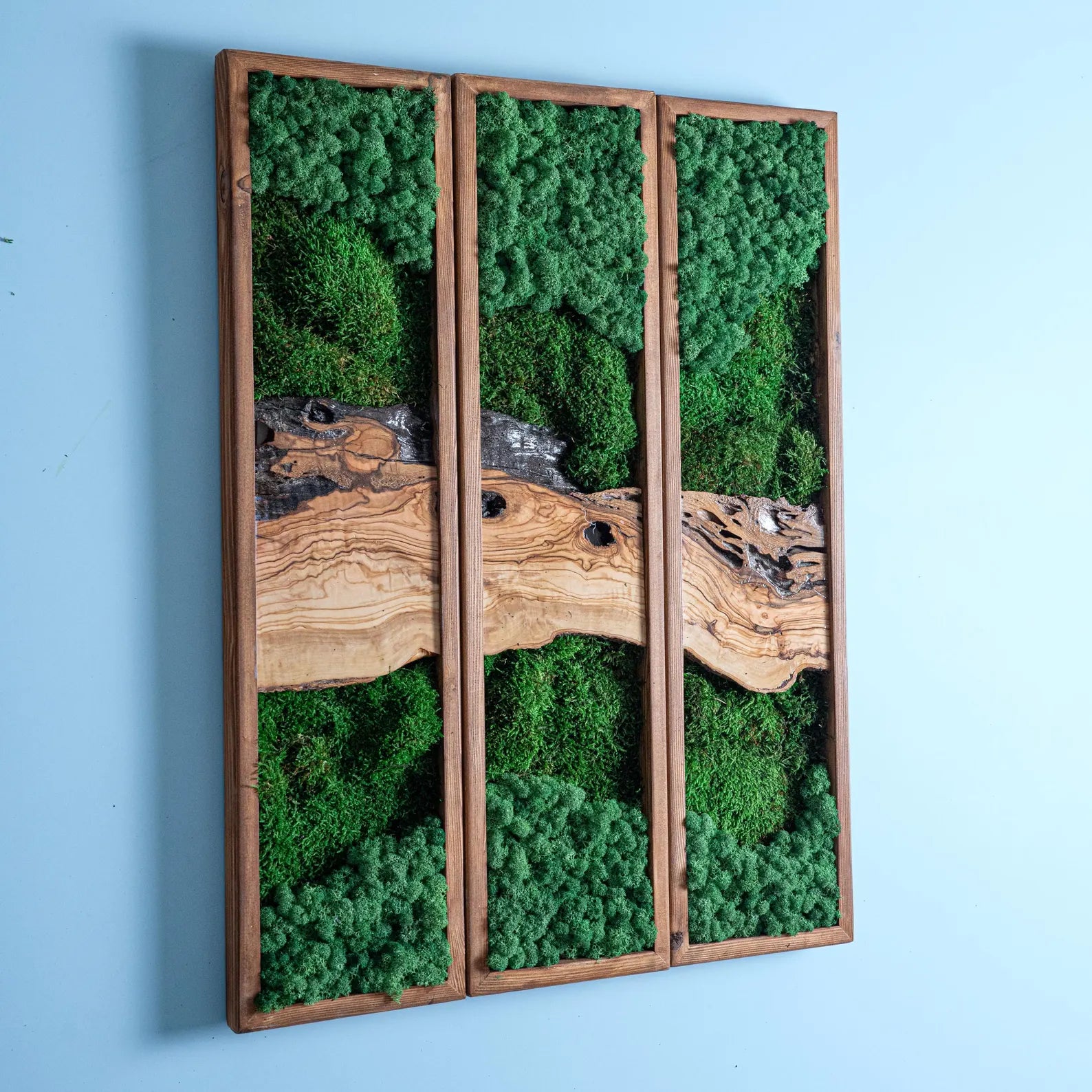 Preserved Moss Wall Triptych: Vertical Nature Decor with Olive Wood