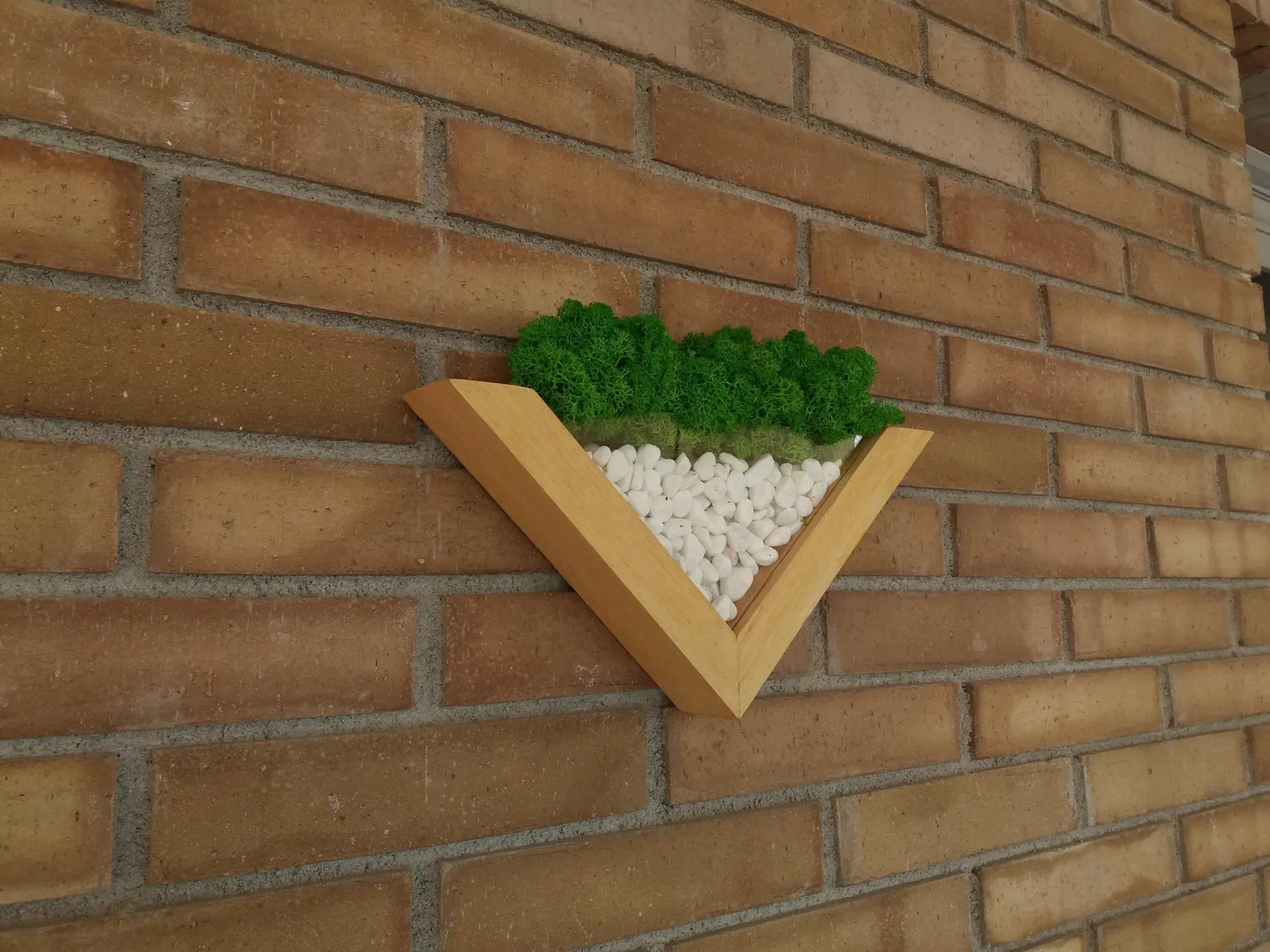 Moss Wall Planter – Green Wall Decor – Wood and Moss Indoor Wall Art