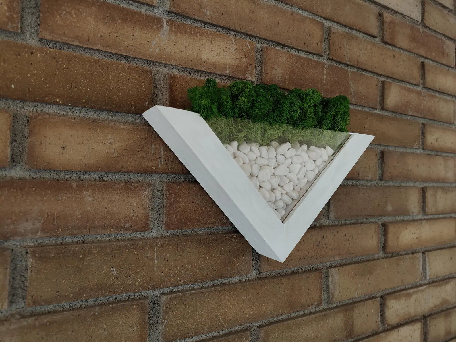 Moss Wall Planter – Green Wall Decor – Wood and Moss Indoor Wall Art