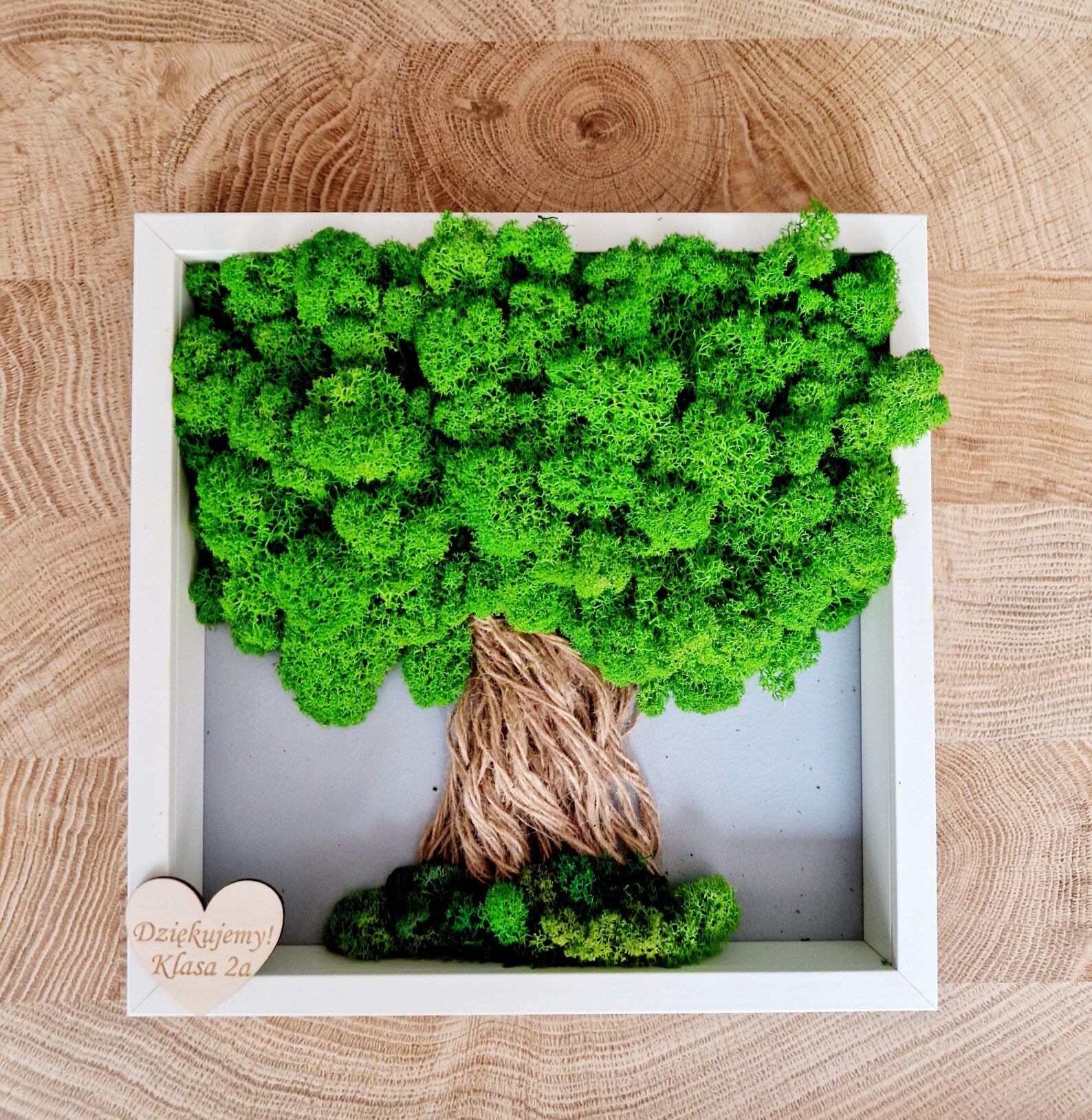 Moss Wall Art Tree – Reindeer Moss Tree of Life, Vertical Garden Wall Decor, Aesthetic Bedroom & Home Decoration, Unique Gift for Host