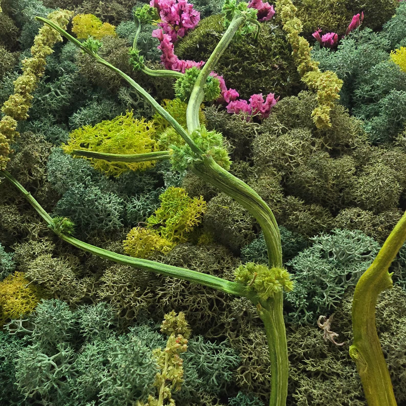 Preserved Scandinavian Moss Wall Art with Dried Flowers – Vertical Botanical Decor 30×40 cm