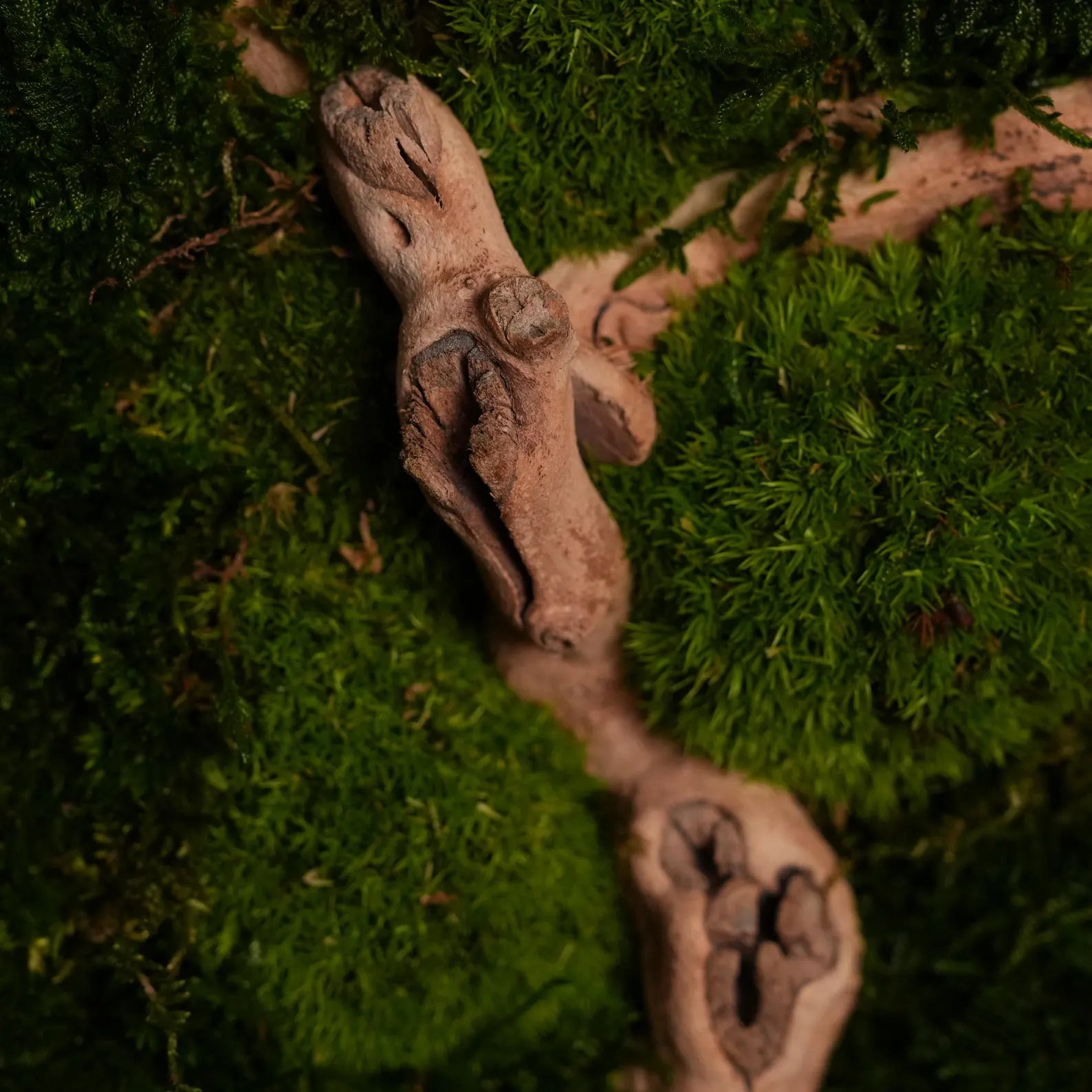 Bonsai Wood and Moss Wall Art – Vertical Green Decor, Botanical Wall Hanging for Bedroom, Birthday Gift