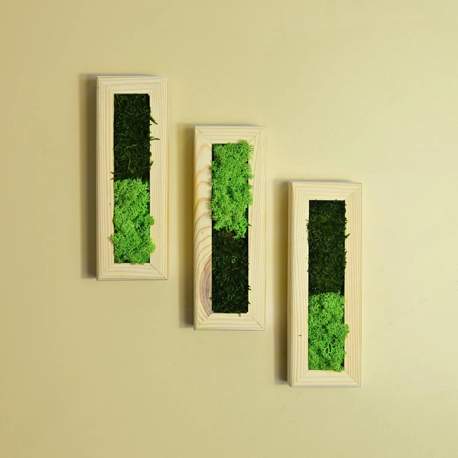 Set of 3 Vertical Moss Wall Art – Preserved Moss with Wood Frames, Rustic Bedroom Wall Decor, Eco-Friendly Gift