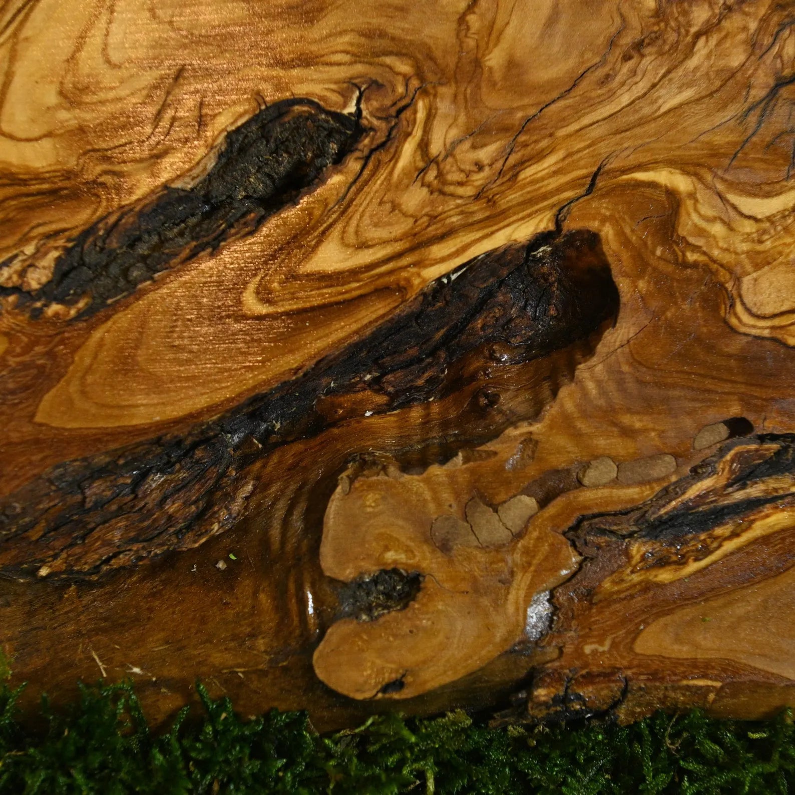 Moss and Olive Wood Wall Art – 3 Panel Green Vertical Decor, Botanical Farmhouse Wall Hanging, Birthday Gift