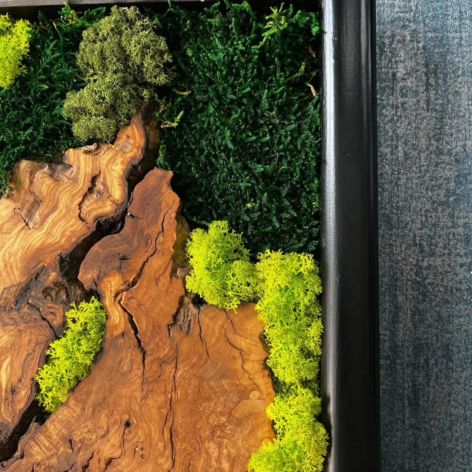 Olive Wood & Moss Wall Art – Handmade Live Edge Wood Panel for Natural Rustic Décor