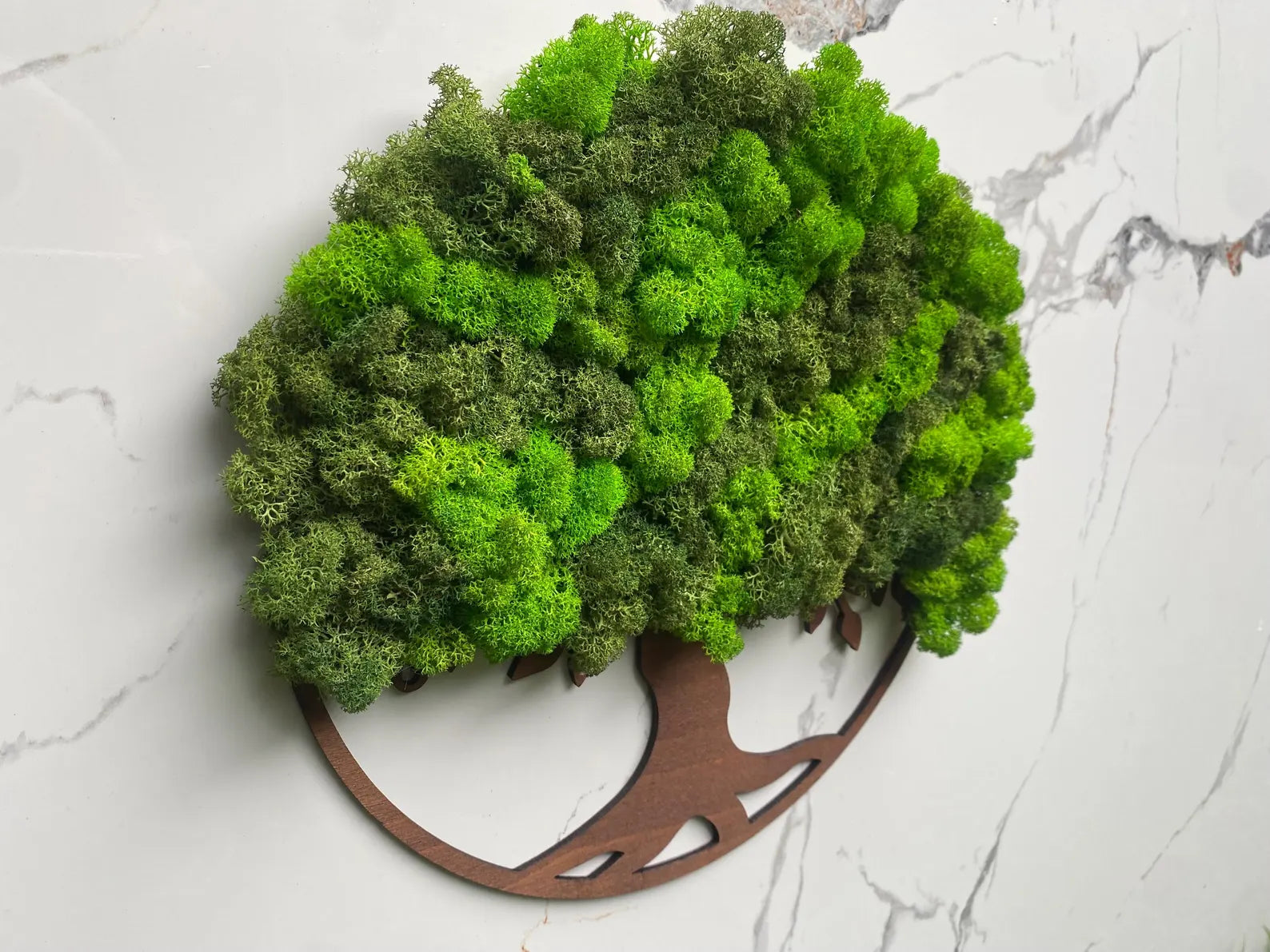 Tree of Life Wall Art with Scandinavian Moss – Large Natural Moss Wall Decor for Home or Office