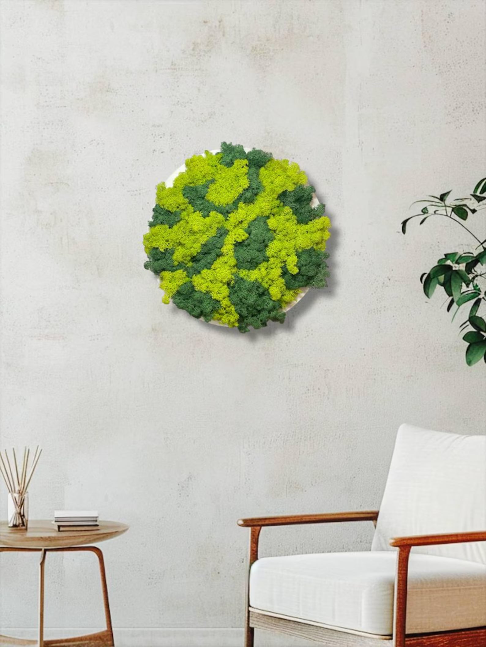 Moss Wall Art – Handmade Moss Panel for Home Decor & Office Wall Art