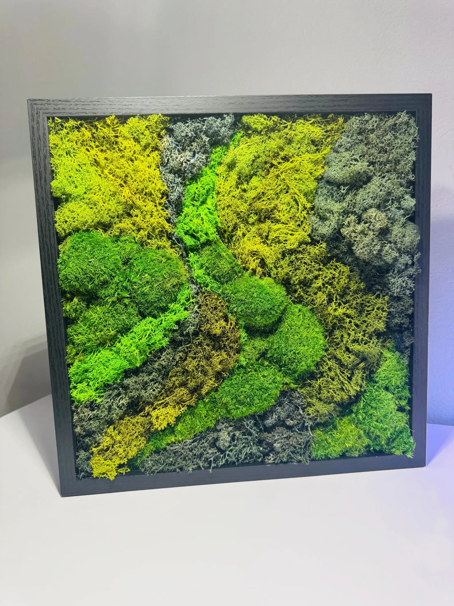 Moss Wall Art in Black Frame – Preserved Green Moss Wall Decor, Modern Nature Artwork