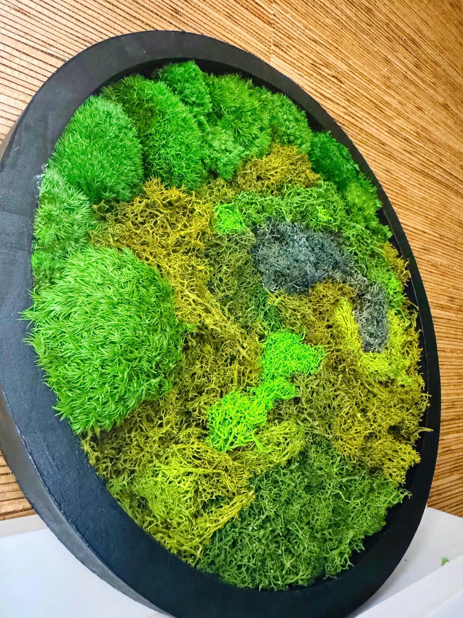 Round Moss Wall Art – Black Frame Preserved Moss Decor, Modern Botanical Nature Artwork for Home or Office