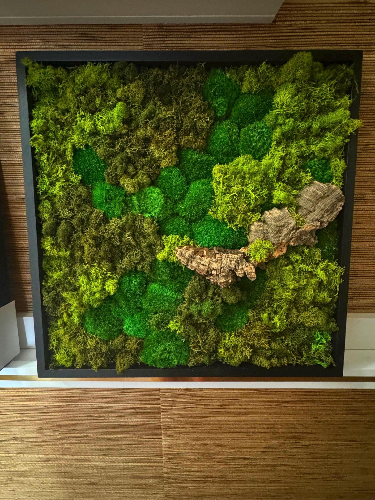 Moss Wall Art in Black Frame with Natural Branches – Large Preserved Green Moss Decor, Modern Botanical Wall Artwork