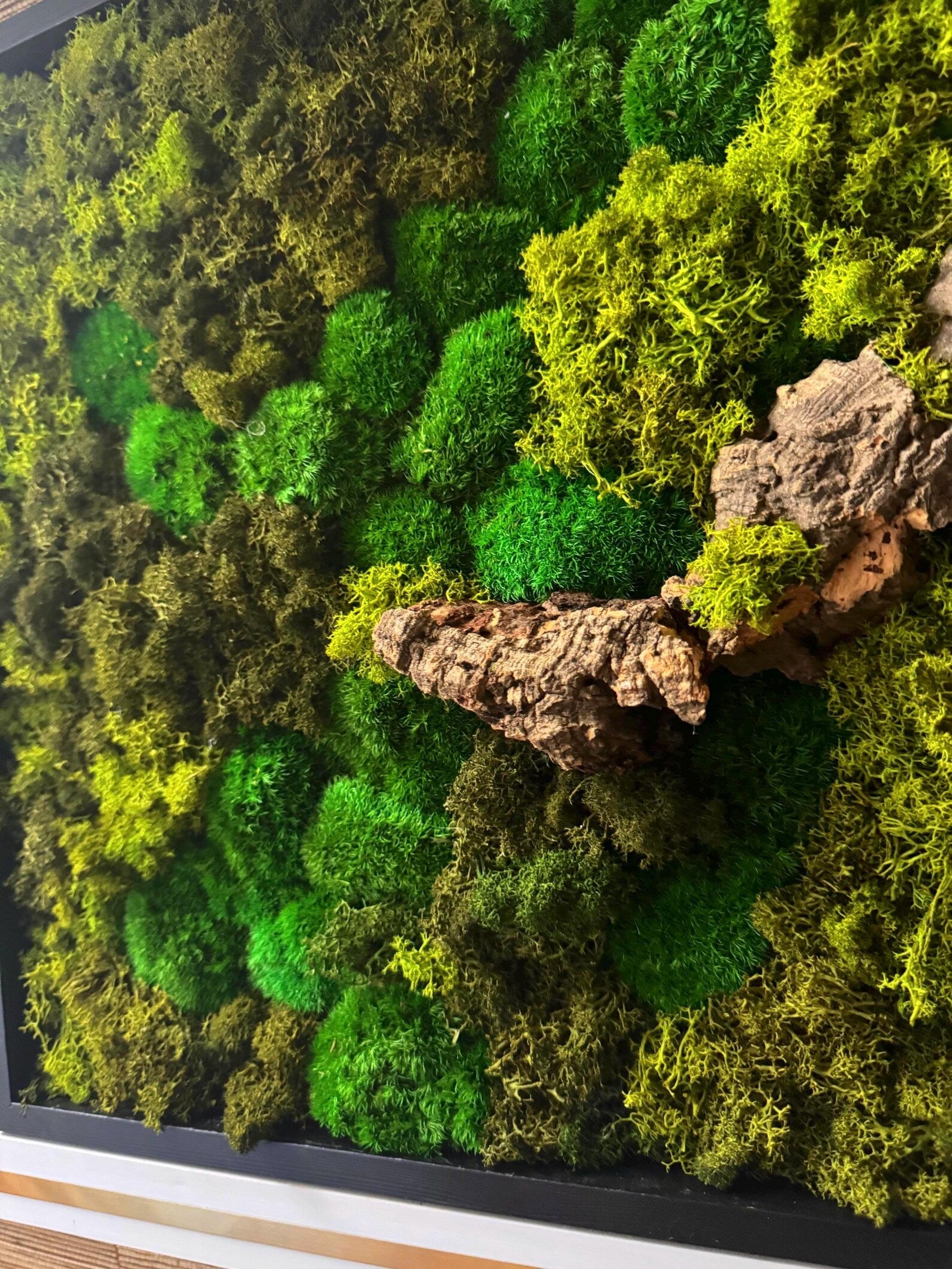 Moss Wall Art in Black Frame with Natural Branches – Large Preserved Green Moss Decor, Modern Botanical Wall Artwork