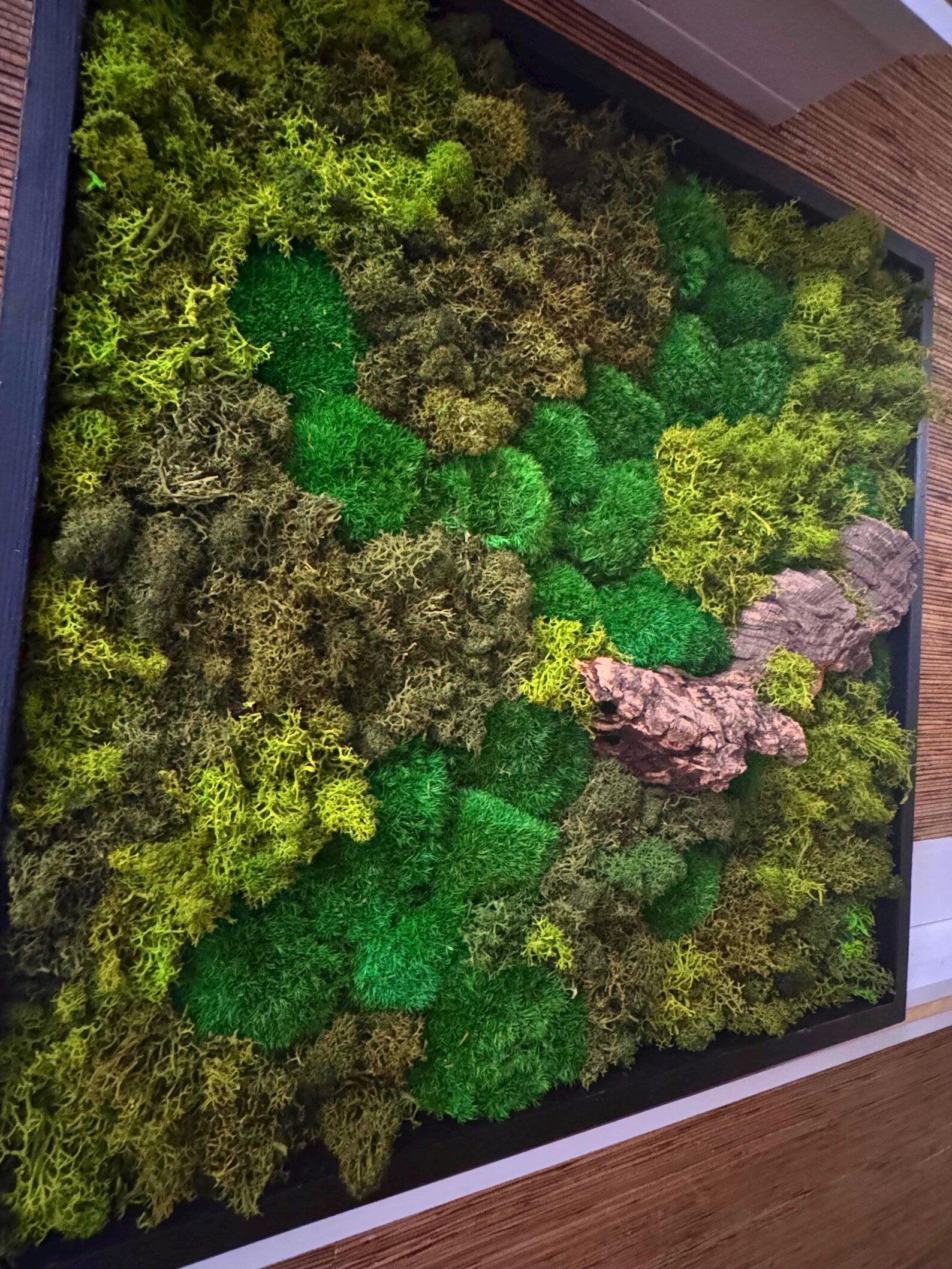 Moss Wall Art in Black Frame with Natural Branches – Large Preserved Green Moss Decor, Modern Botanical Wall Artwork