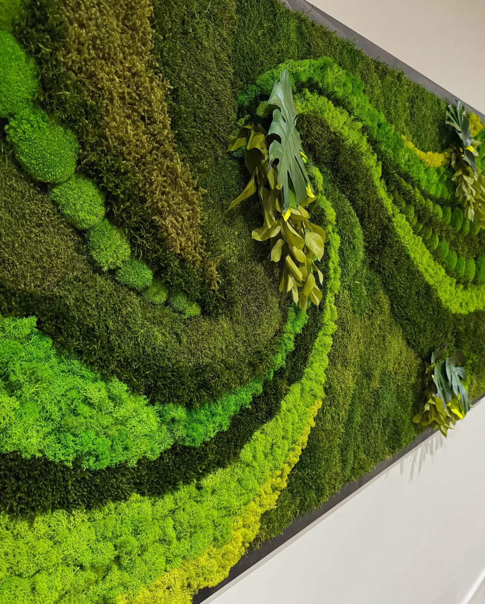 Moss Wall Art – Handmade Preserved Moss Frame | Unique Green Accent Home Decor