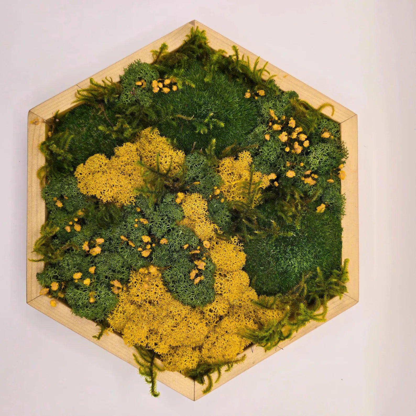 Wooden Hexagon Moss Wall Art with Dried Flowers – Preserved Botanical Geometric Wall Decor