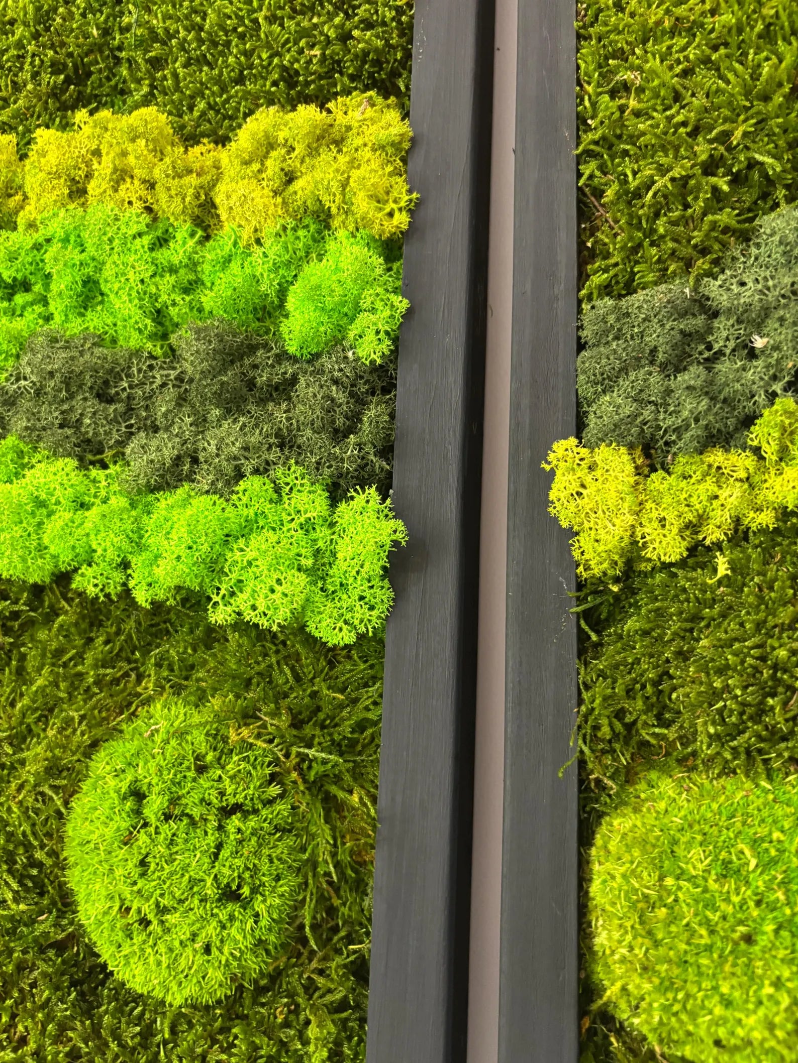 Natural Moss Wall Hanging – Large Real Moss Art for Home, Office & Entryway, No-Maintenance Green Décor