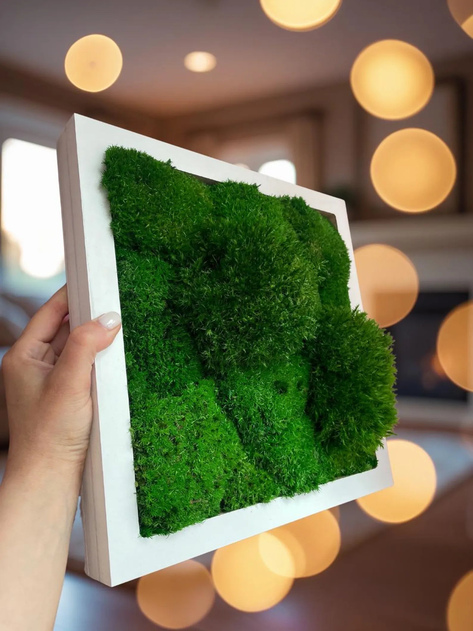 Preserved Moss Wall Art – Natural Moss Décor for Home & Office