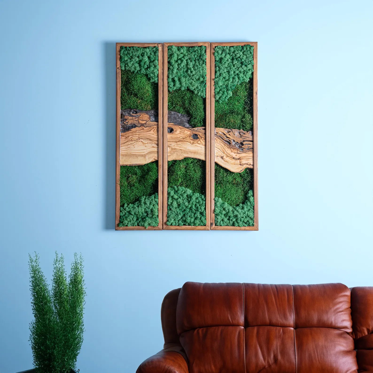 Preserved Moss Wall Triptych: Vertical Nature Decor with Olive Wood