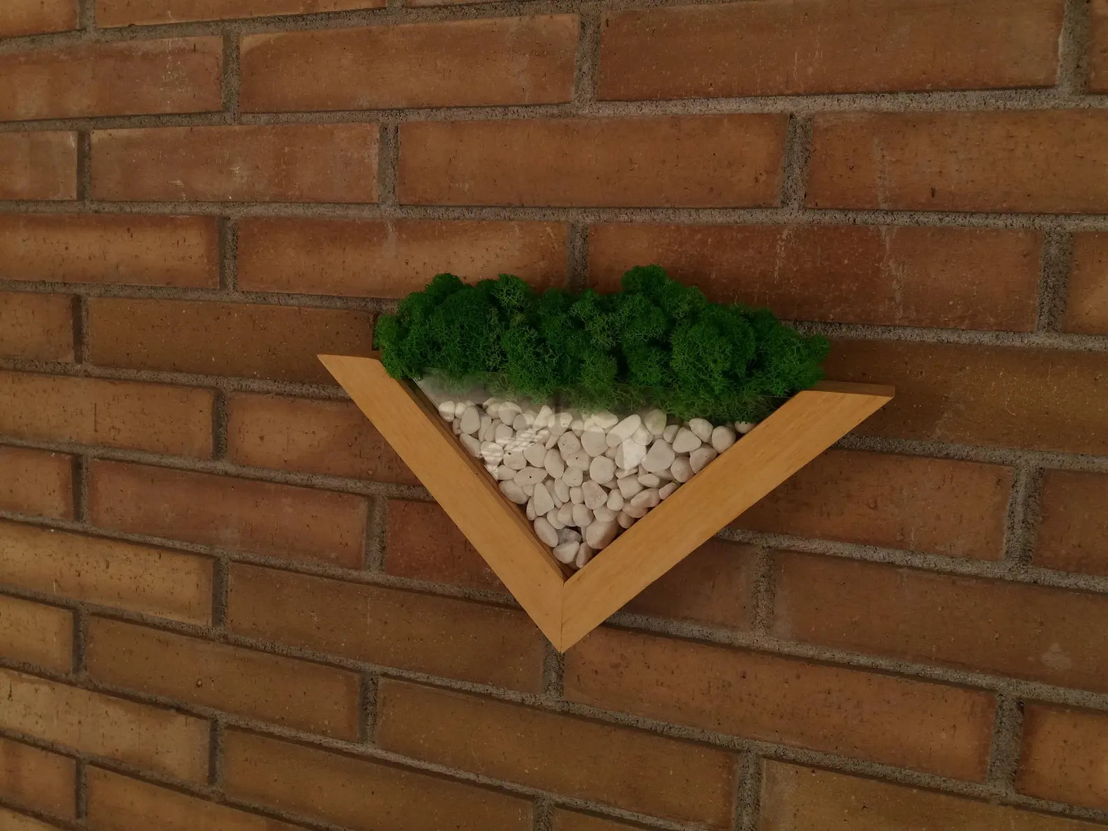 Moss Wall Planter – Green Wall Decor – Wood and Moss Indoor Wall Art