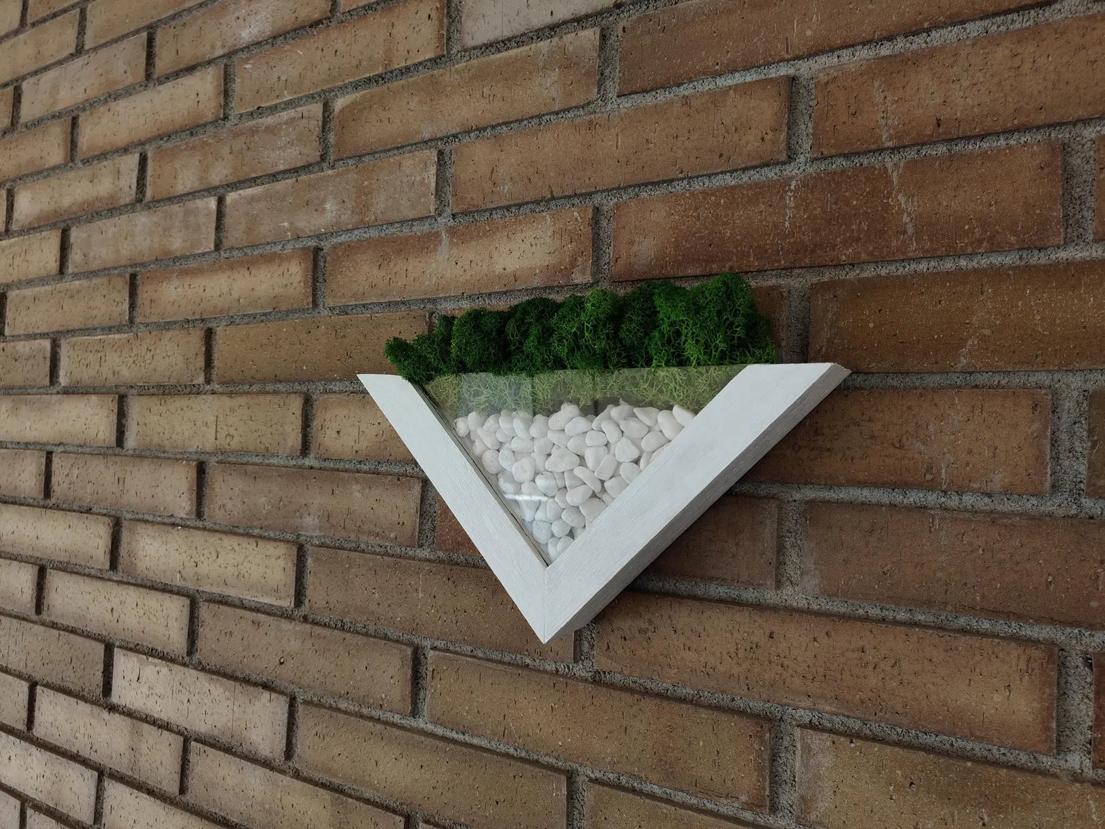Moss Wall Planter – Green Wall Decor – Wood and Moss Indoor Wall Art