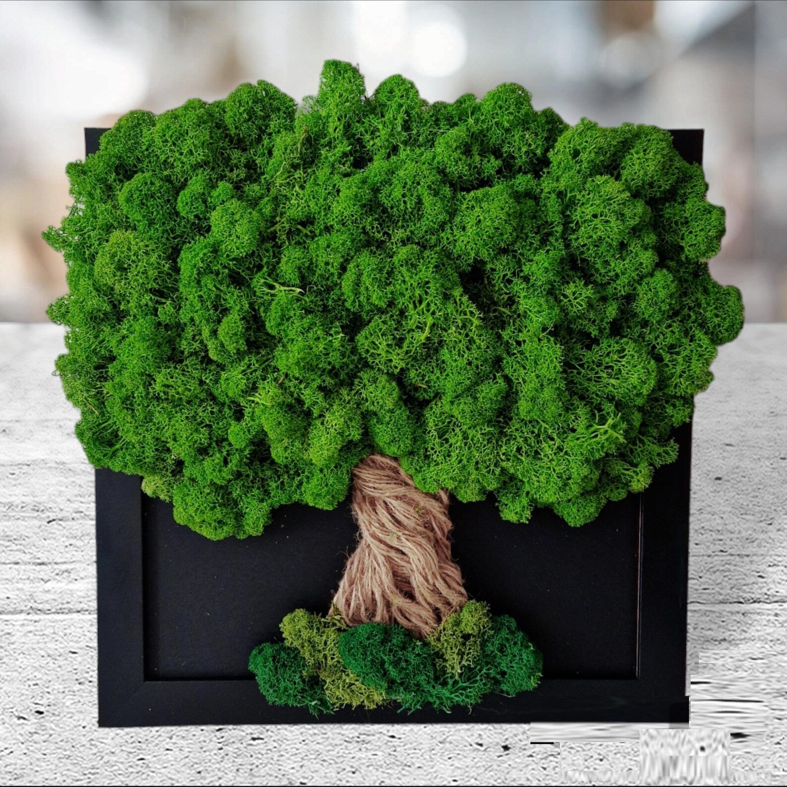Moss Wall Art Tree – Reindeer Moss Tree of Life, Vertical Garden Wall Decor, Aesthetic Bedroom & Home Decoration, Unique Gift for Host