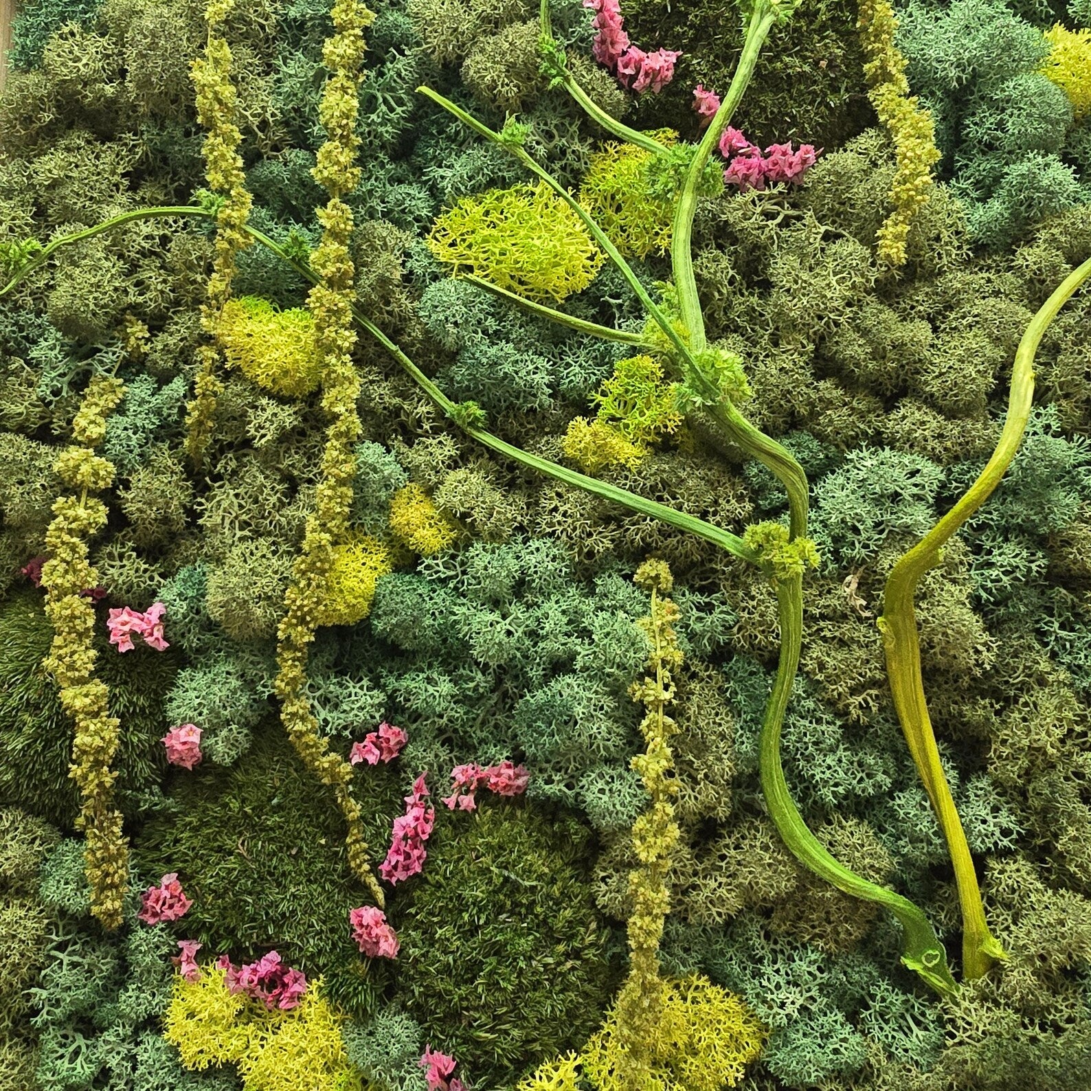 Preserved Scandinavian Moss Wall Art with Dried Flowers – Vertical Botanical Decor 30×40 cm