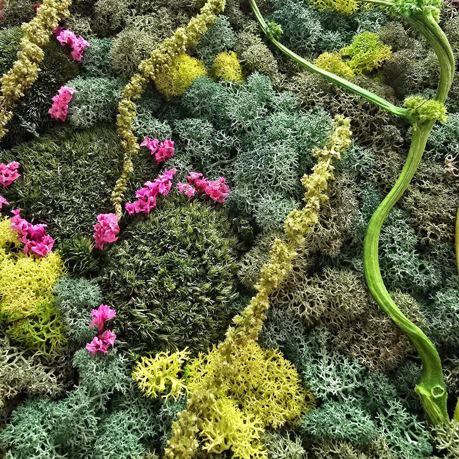 Preserved Scandinavian Moss Wall Art with Dried Flowers – Vertical Botanical Decor 30×40 cm