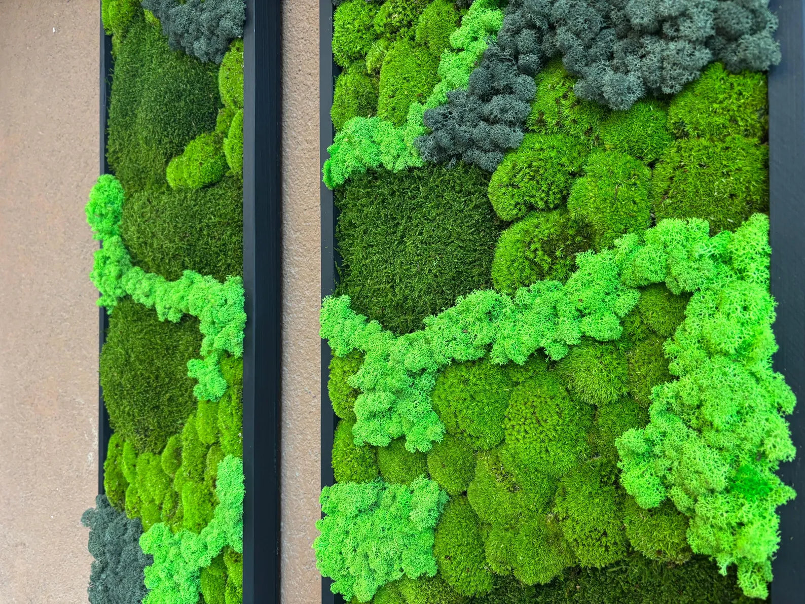Preserved Moss Wall Art – Real Natural Moss in Vertical Wooden Frame for Eco-Friendly Home & Office Décor
