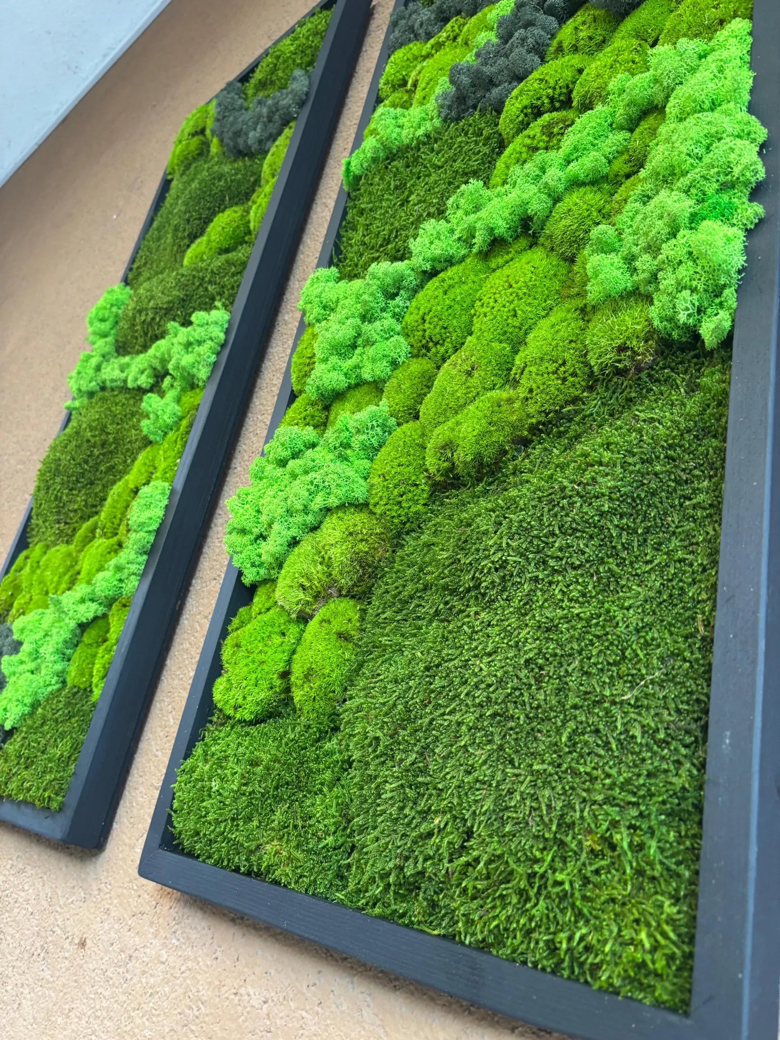 Preserved Moss Wall Art – Real Natural Moss in Vertical Wooden Frame for Eco-Friendly Home & Office Décor