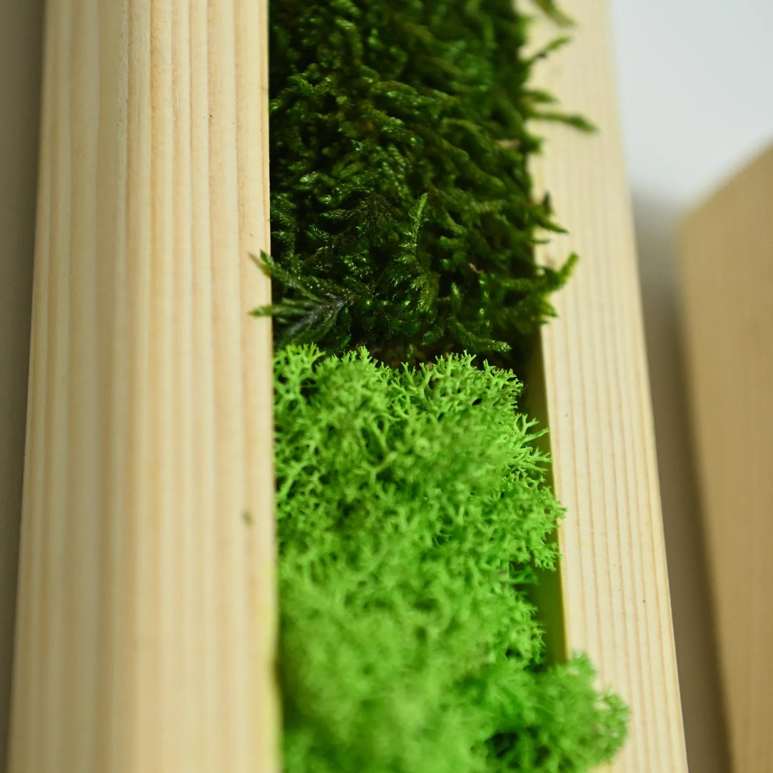 Set of 3 Vertical Moss Wall Art – Preserved Moss with Wood Frames, Rustic Bedroom Wall Decor, Eco-Friendly Gift